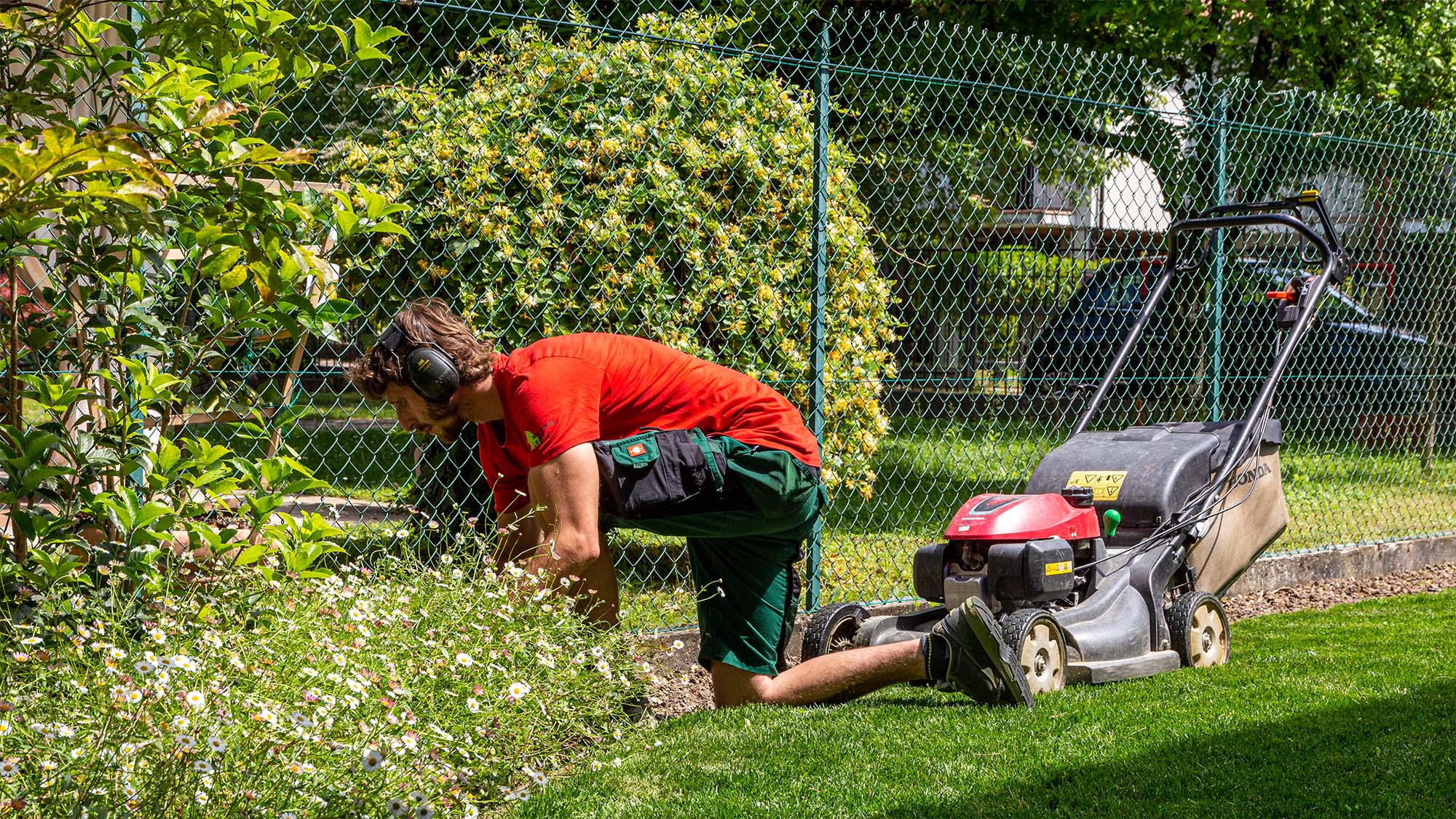 Manutenzione Giardino Casa